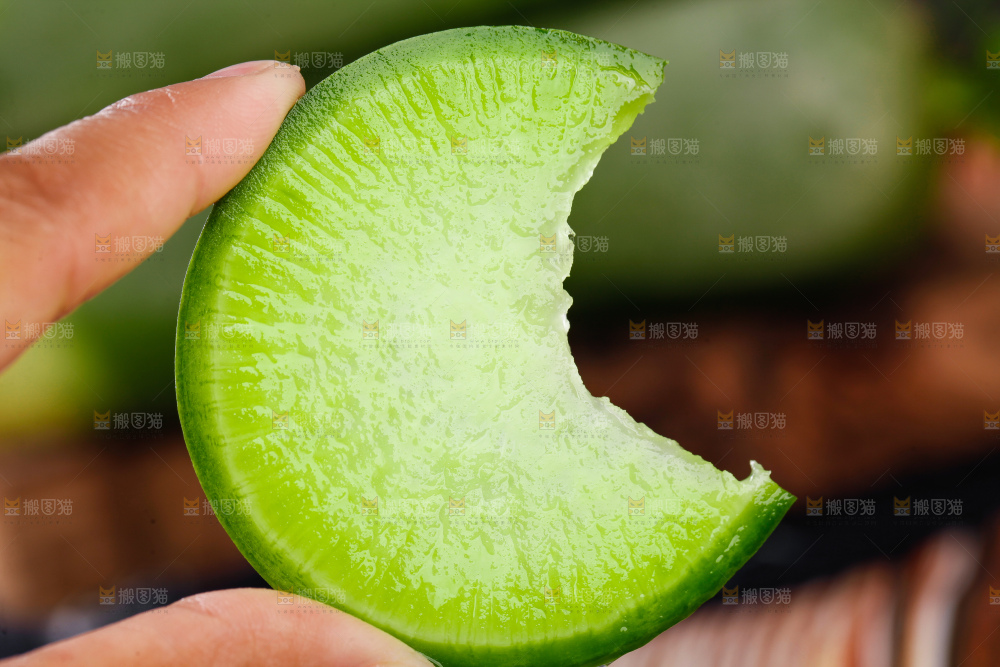 手里拿着青萝卜