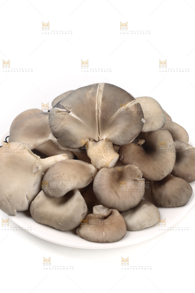 盘子里装着平菇