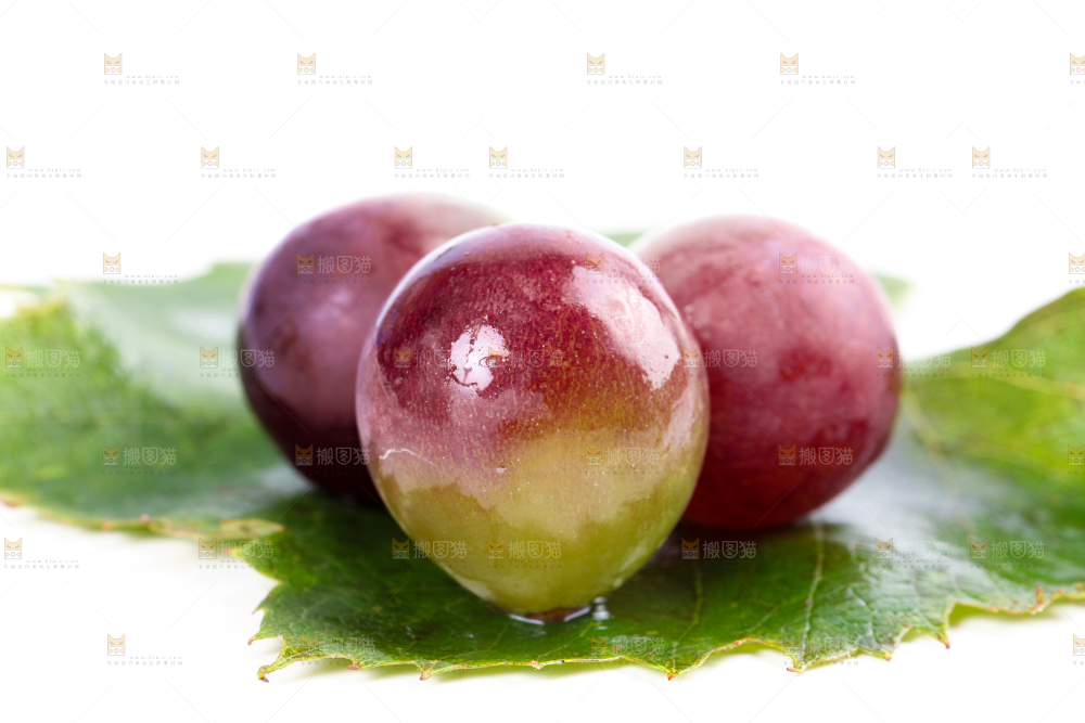 白底上的新鲜巨峰葡萄