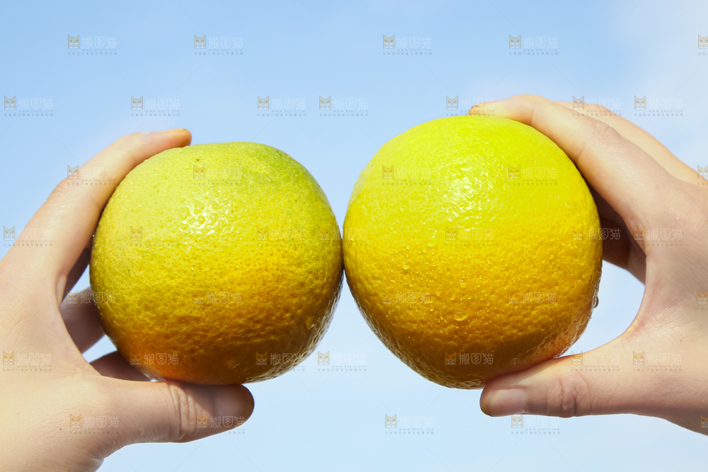 手拿秭归夏橙