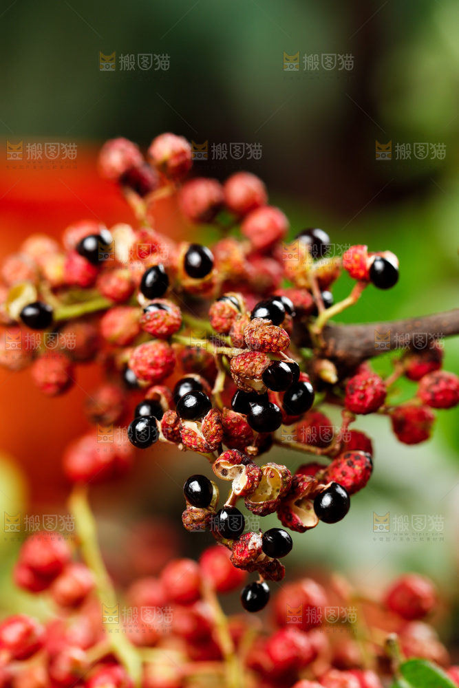 深底上的红花椒