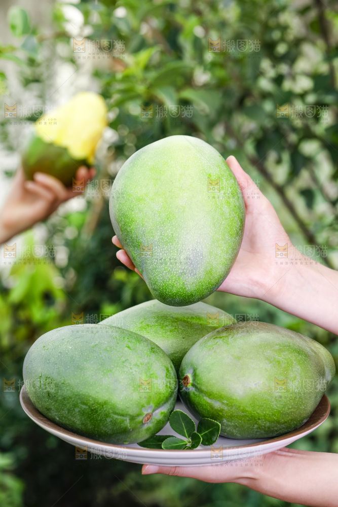 手拿端一盘凯特芒