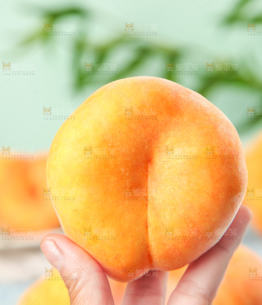 手拿黄金扁桃