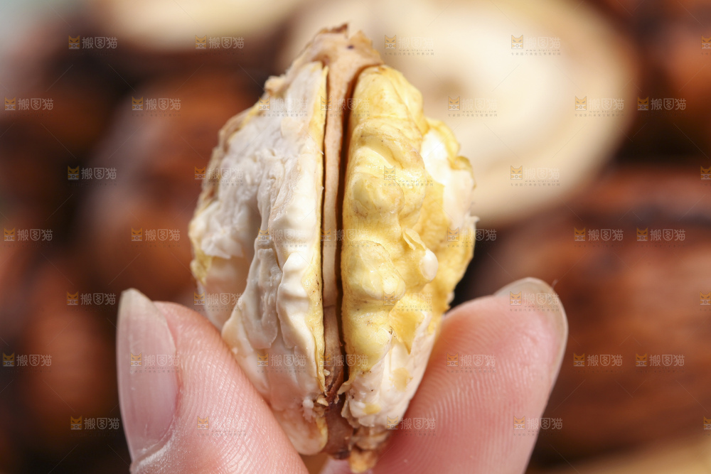 手拿新鲜湿核桃果仁