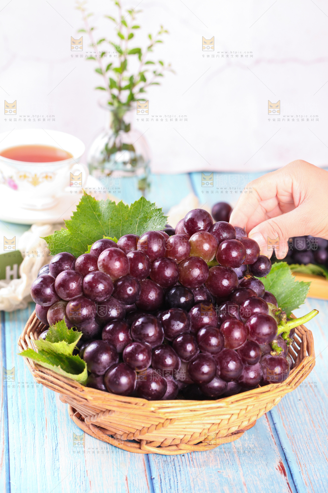手拿东北巨峰葡萄
