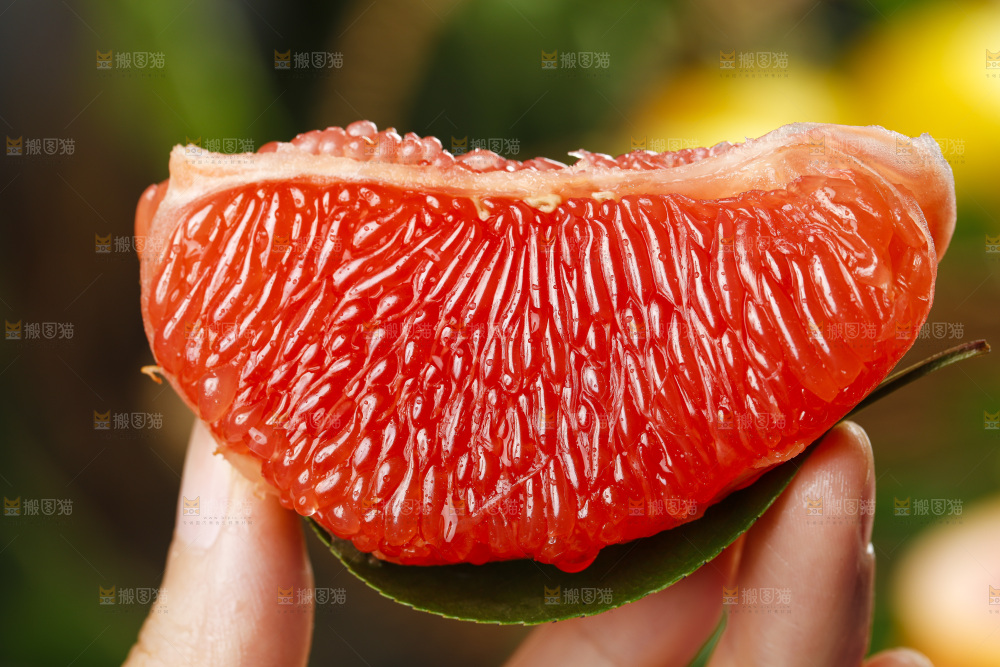 手拿剥皮红心西柚果肉