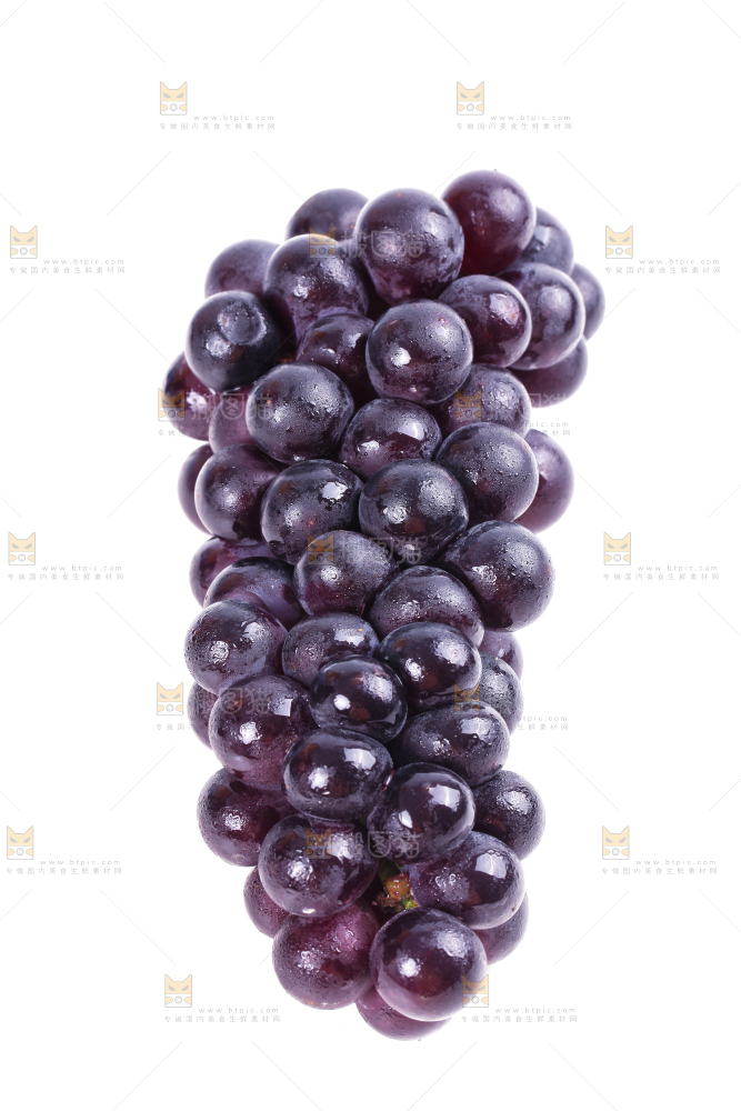 白底上的新鲜巨峰葡萄