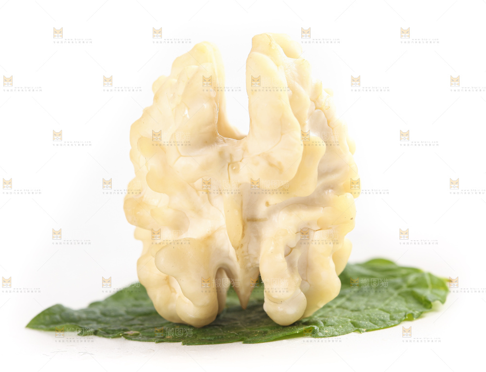 白底上放着新鲜去皮湿核桃果仁