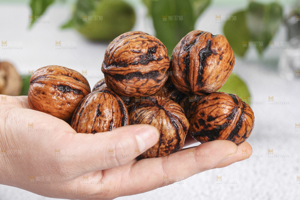 手拿新鲜去皮湿核桃