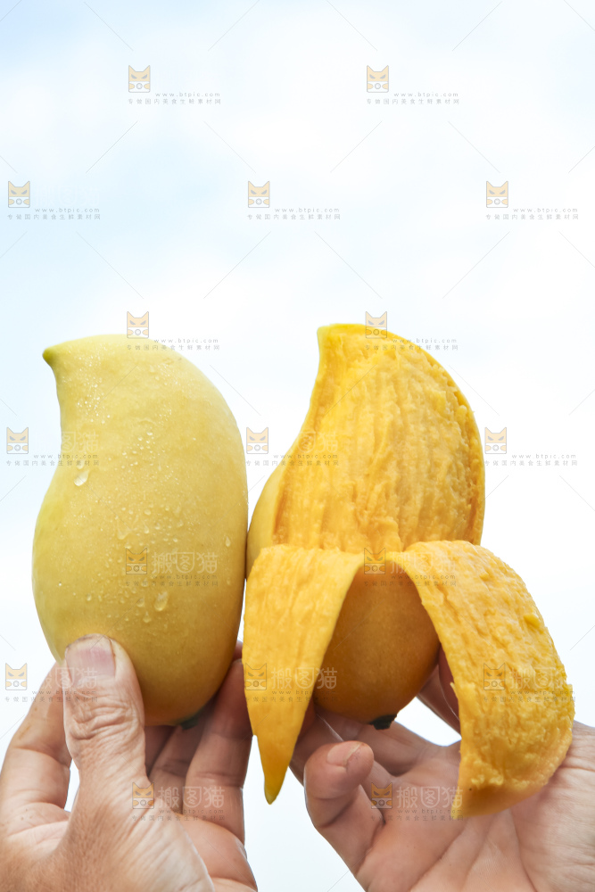 手拿剥皮的鹰嘴芒