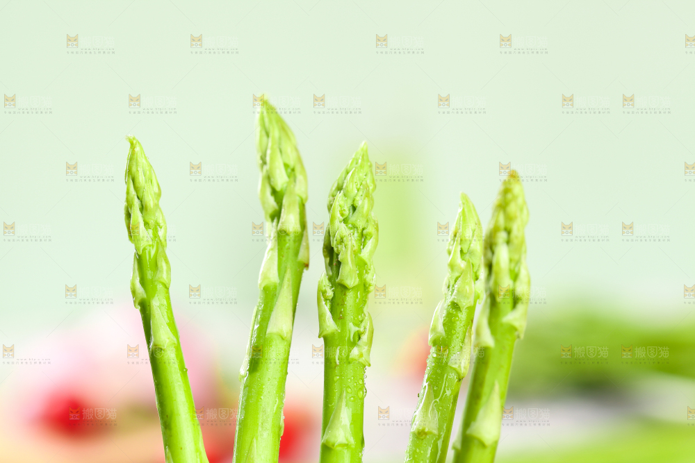 木底上的青芦笋