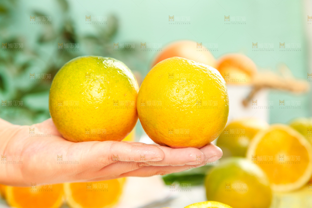 手拿秭归夏橙