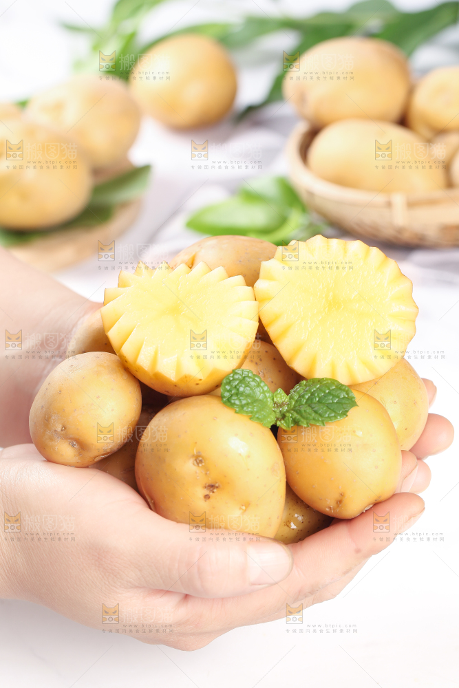 手拿云南小土豆