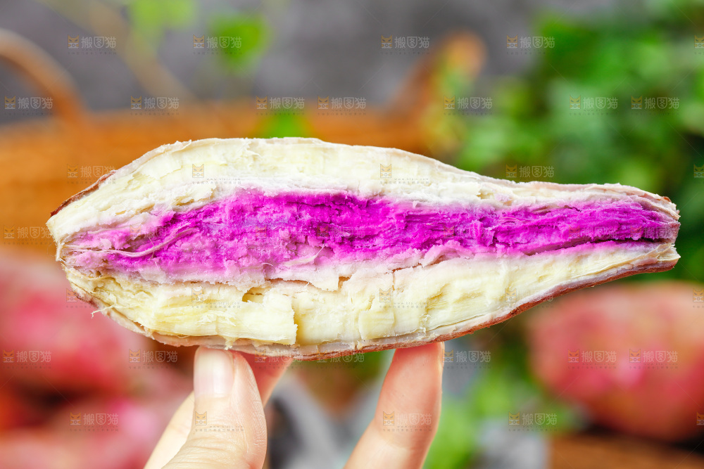 手拿掰开的冰淇淋红薯