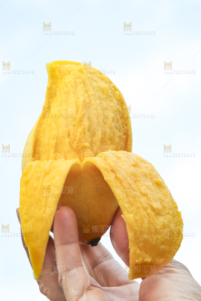 手拿剥皮的鹰嘴芒