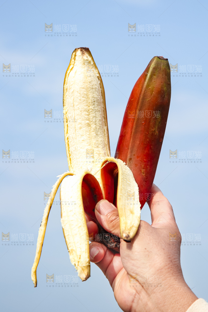 手拿剥皮的红皮香蕉