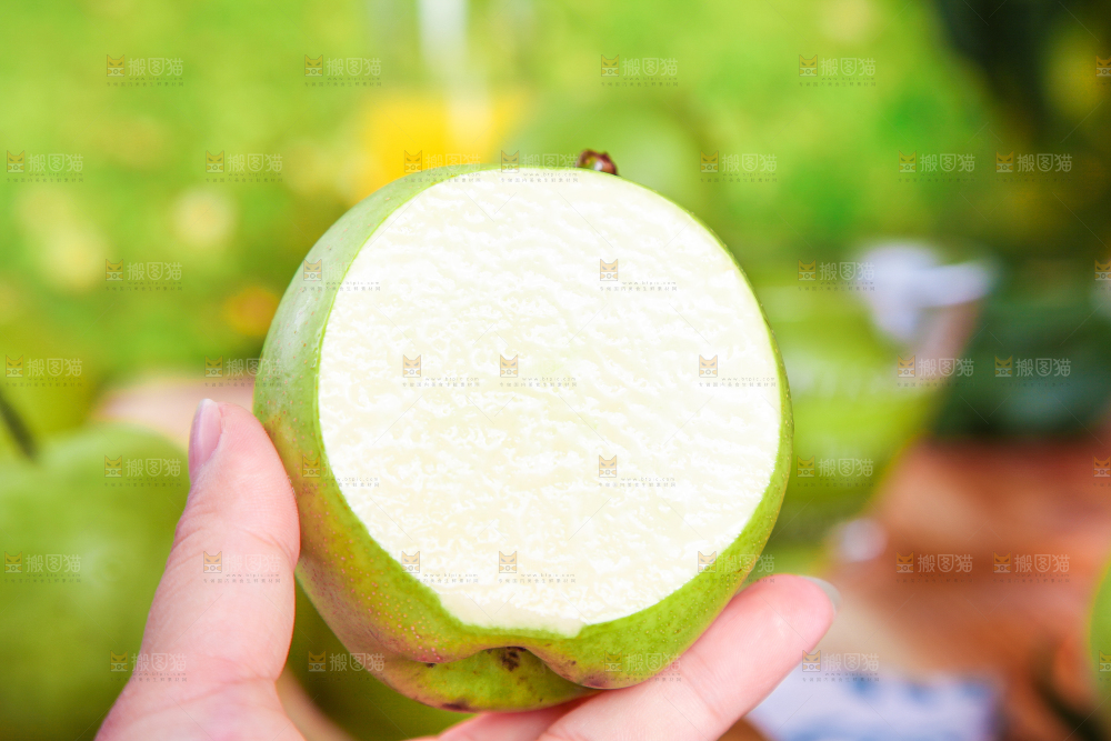 手拿切开的青皮梨