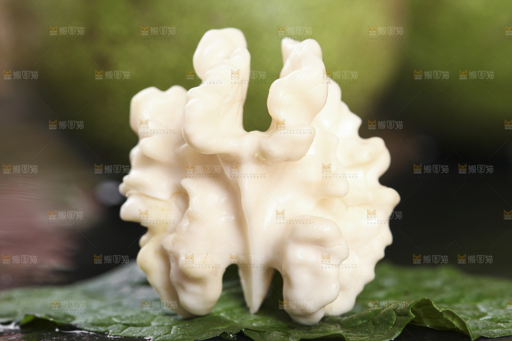 树叶上放着新鲜湿核桃果仁