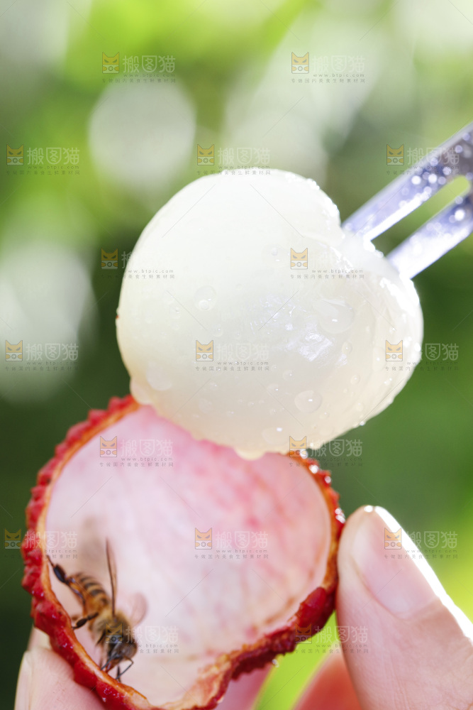 叉子叉着荔枝果肉