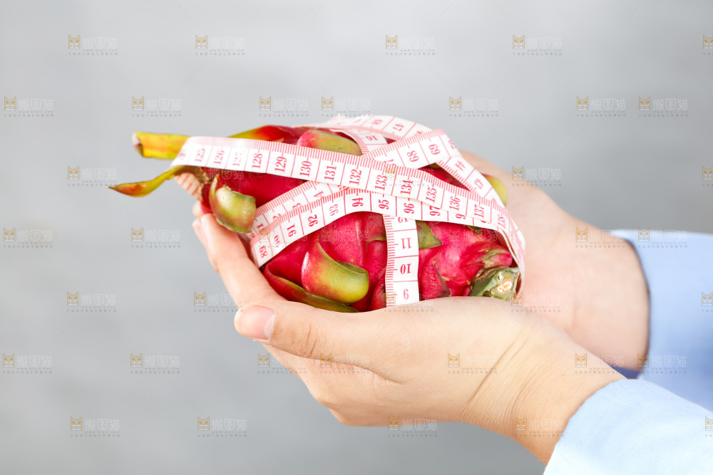 手里正在测量火龙果