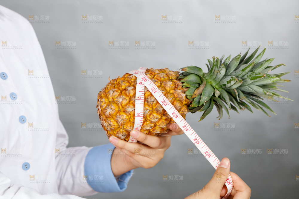手里正在测量凤梨