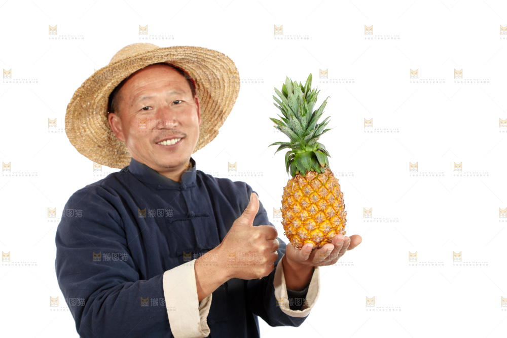 农民手里拿着凤梨