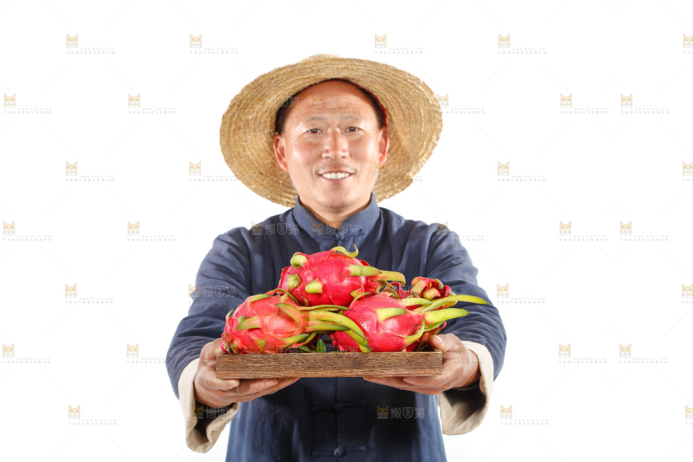 农民手里端着火龙果