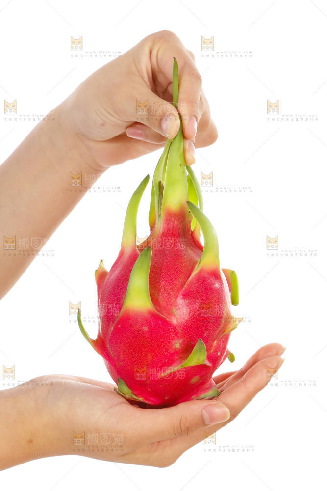 手里拿着火龙果