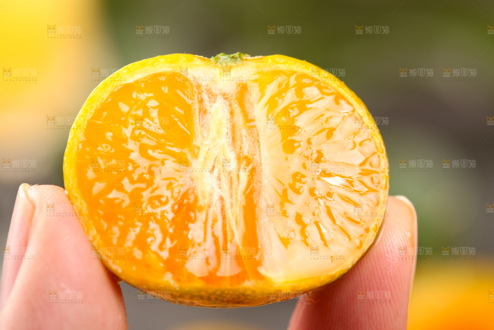 蜜桔