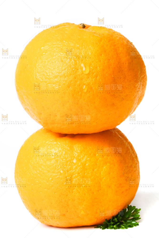 白底上放着芦柑