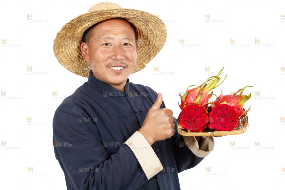 农民手里拿着红心火龙果