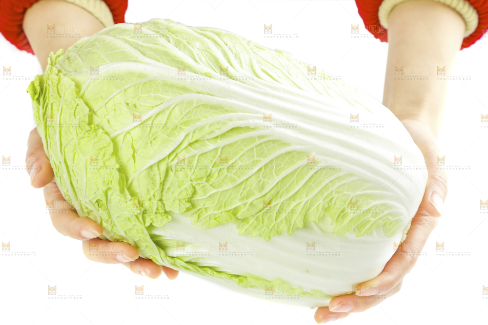 手拿大白菜