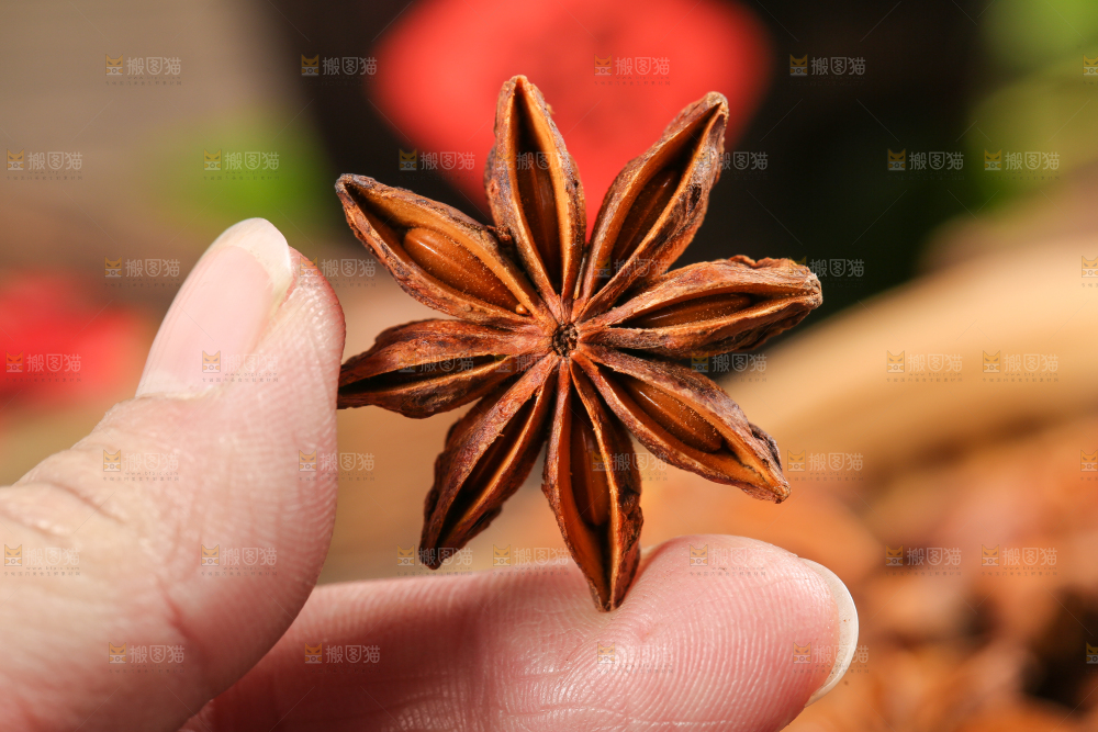 手上拿着八角