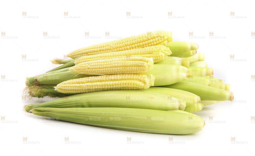 白底上的珍珠笋