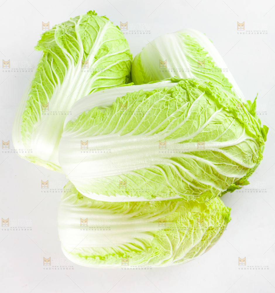 白底上的新鲜大白菜
