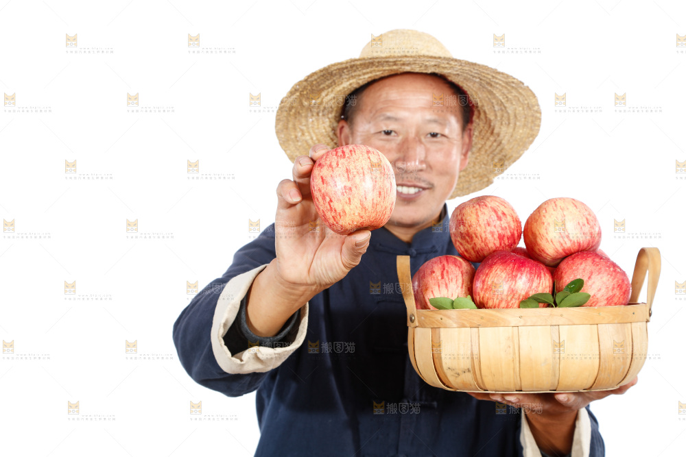 农民手里端着一篮苹果