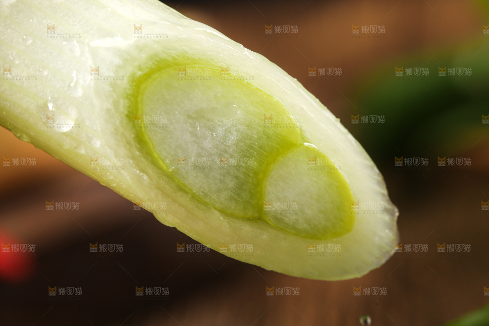 木底上的大葱