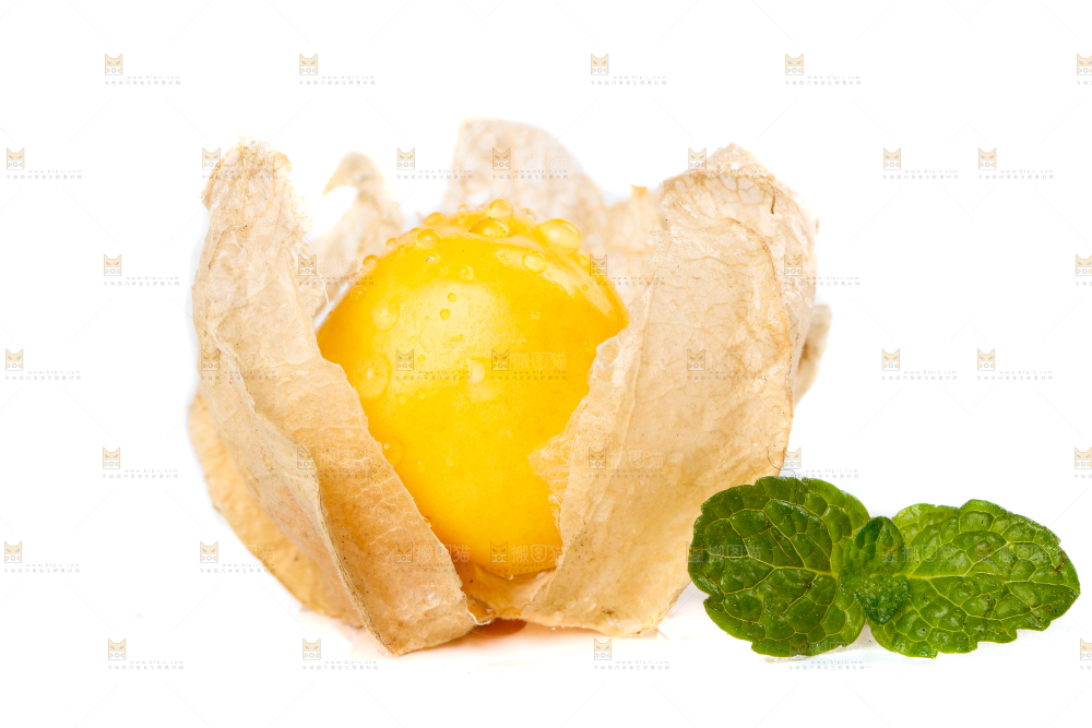 白底上摆放着姑娘果