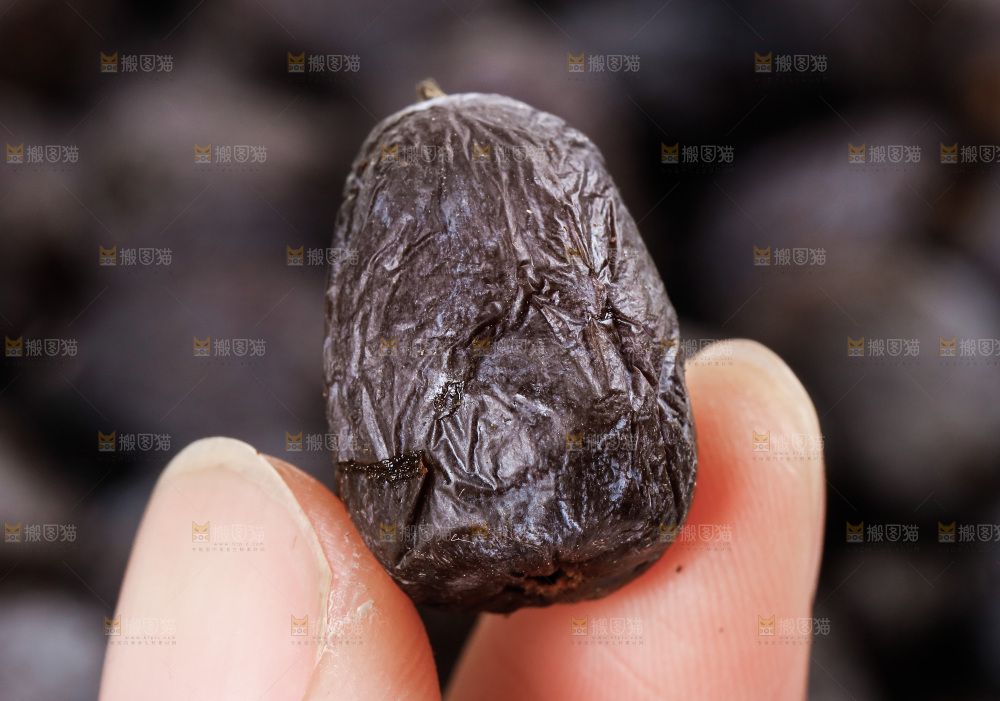 手拿黑枣