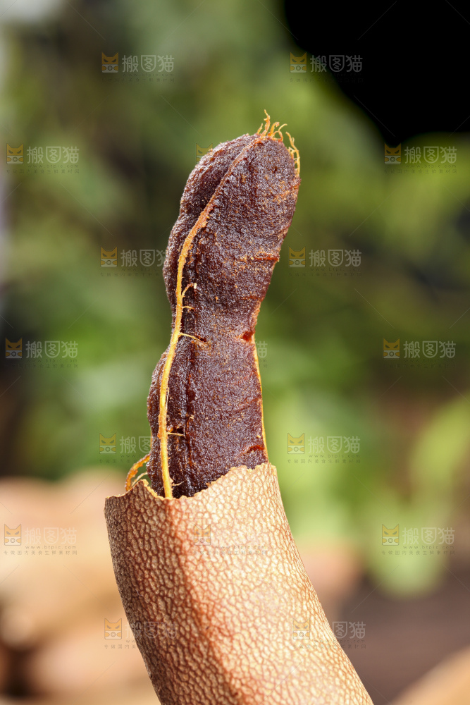 木底上放着清竹林酸角
