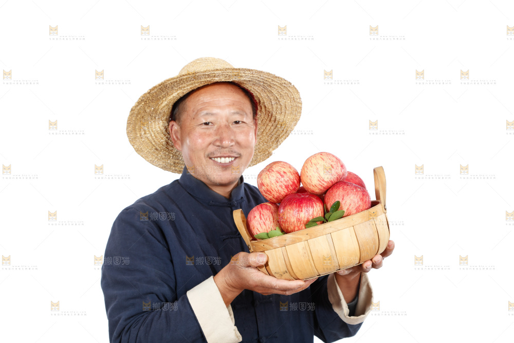 农民手里端着一篮苹果