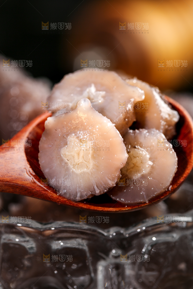 勺子里的海参