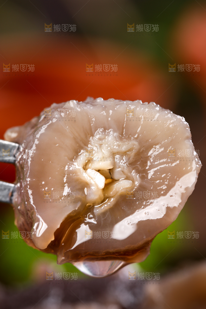 叉子叉着海参