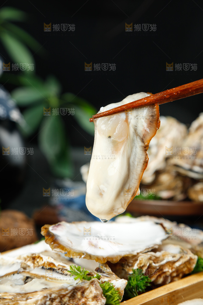筷子夹着海蛎子