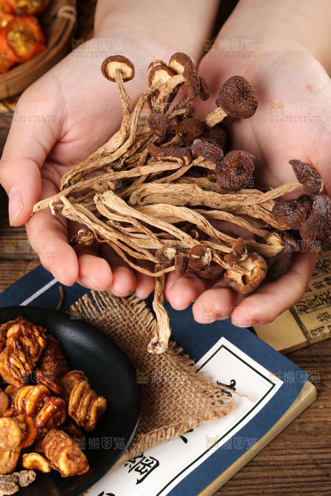 手里捧着茶树菇