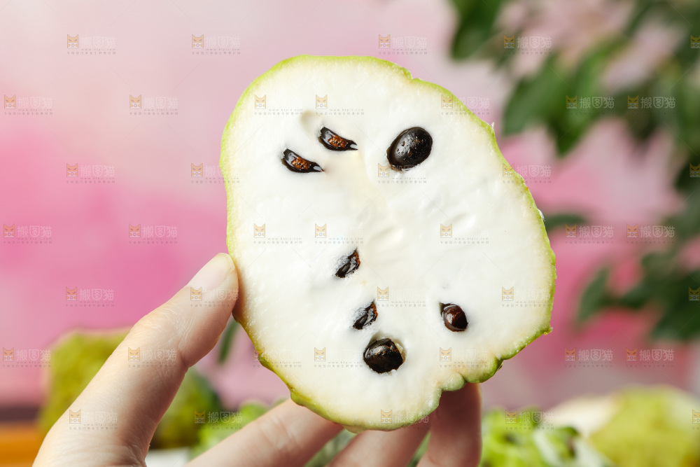 手里拿着释迦果
