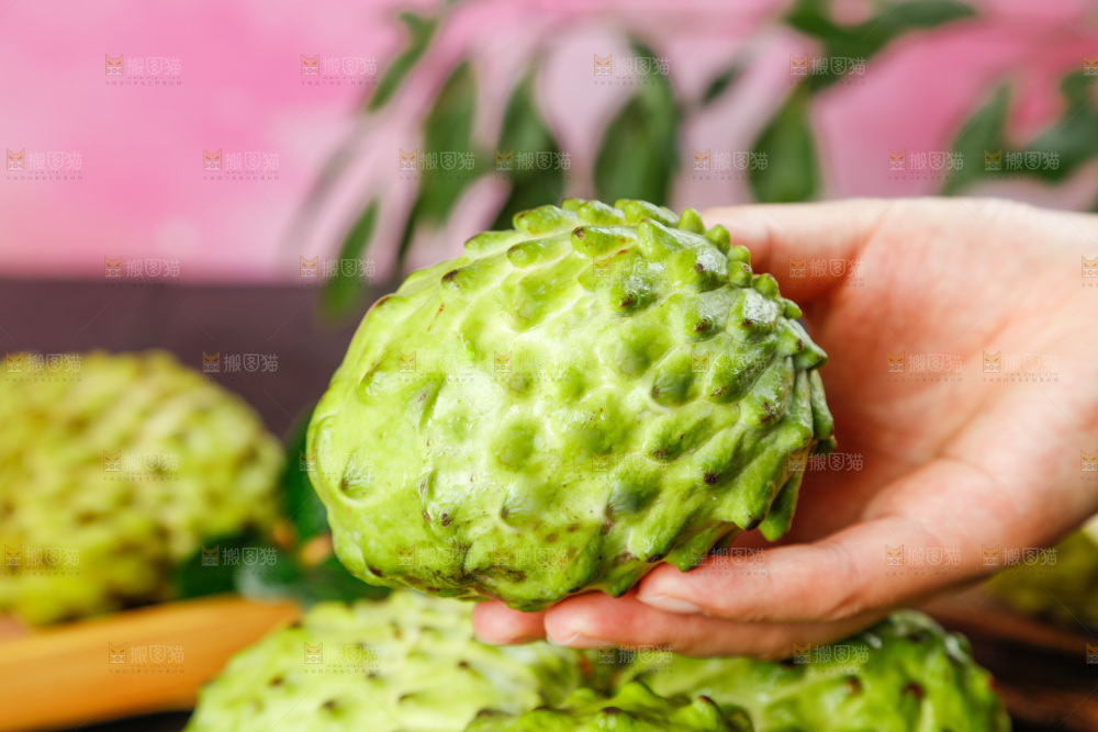 手里拿着牛奶释迦果