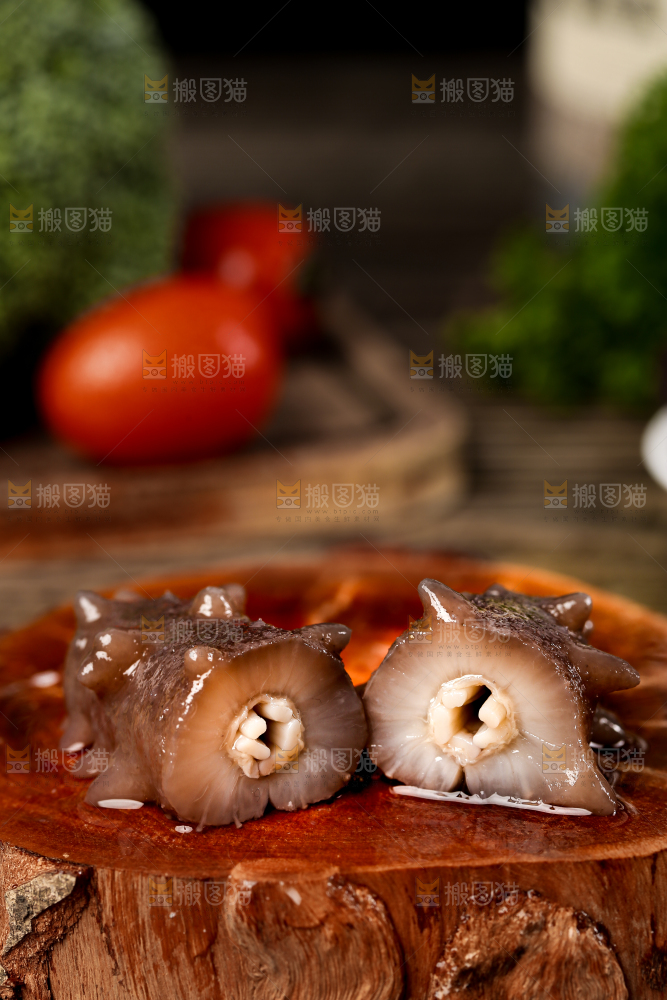 木底上的海参