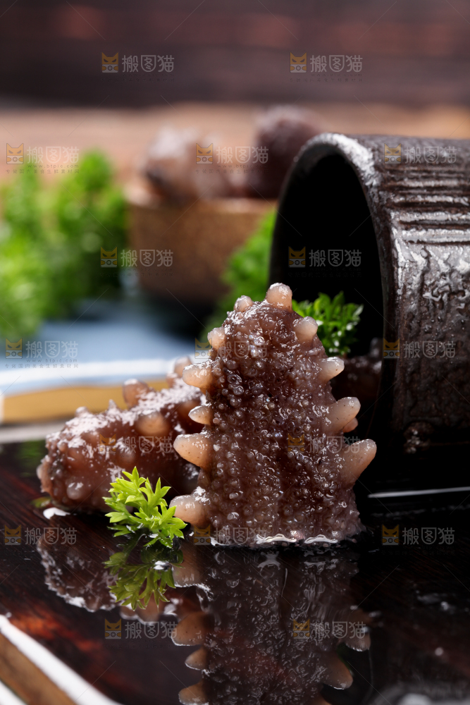黑底上的海参