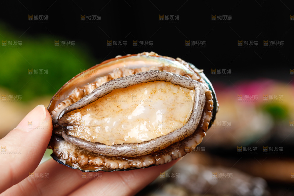 手拿鲍鱼